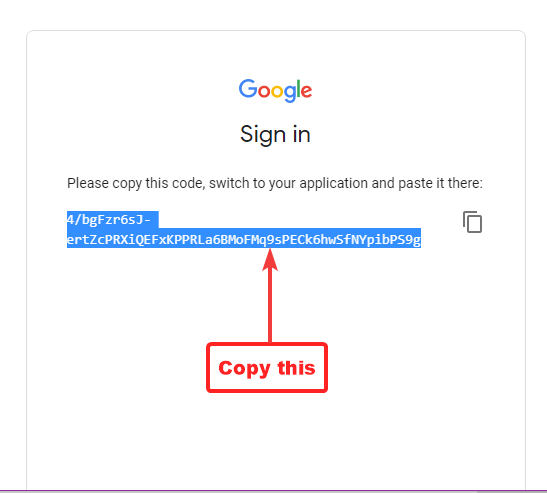 copy the authorization code generated