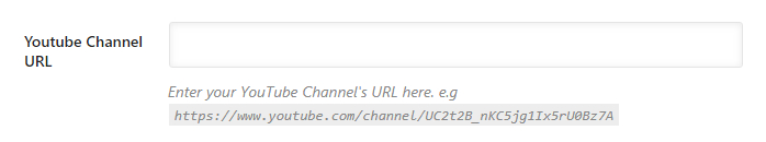 enter your youtube channel url