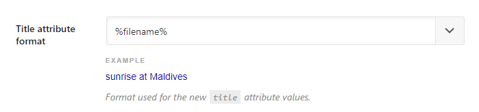 title attribute format