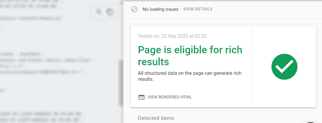 Google Rich Results Testing Tool Results