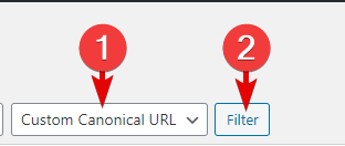 How To Use The Custom Canonical Filter In Rank Math