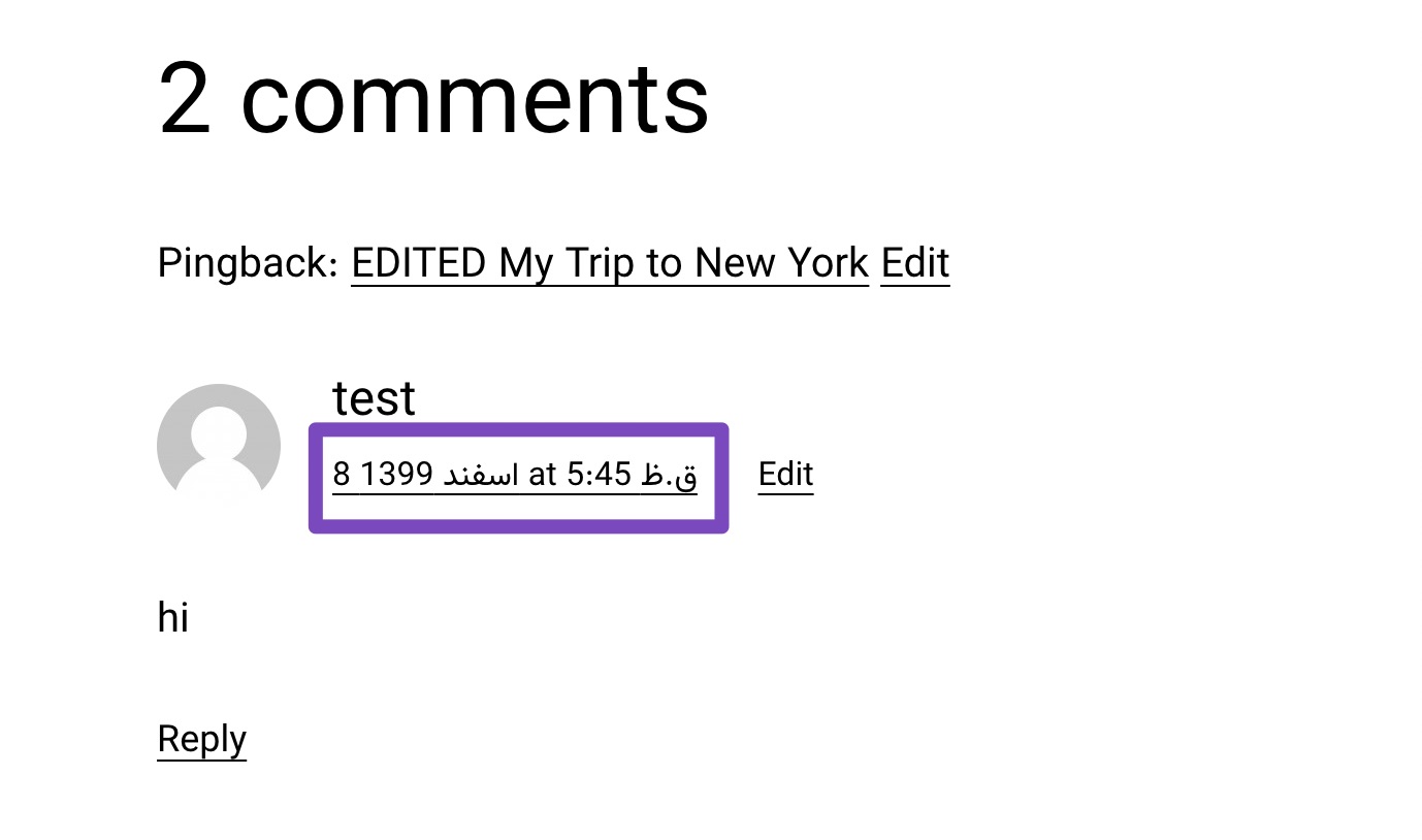 Comments date displayed in Jalali