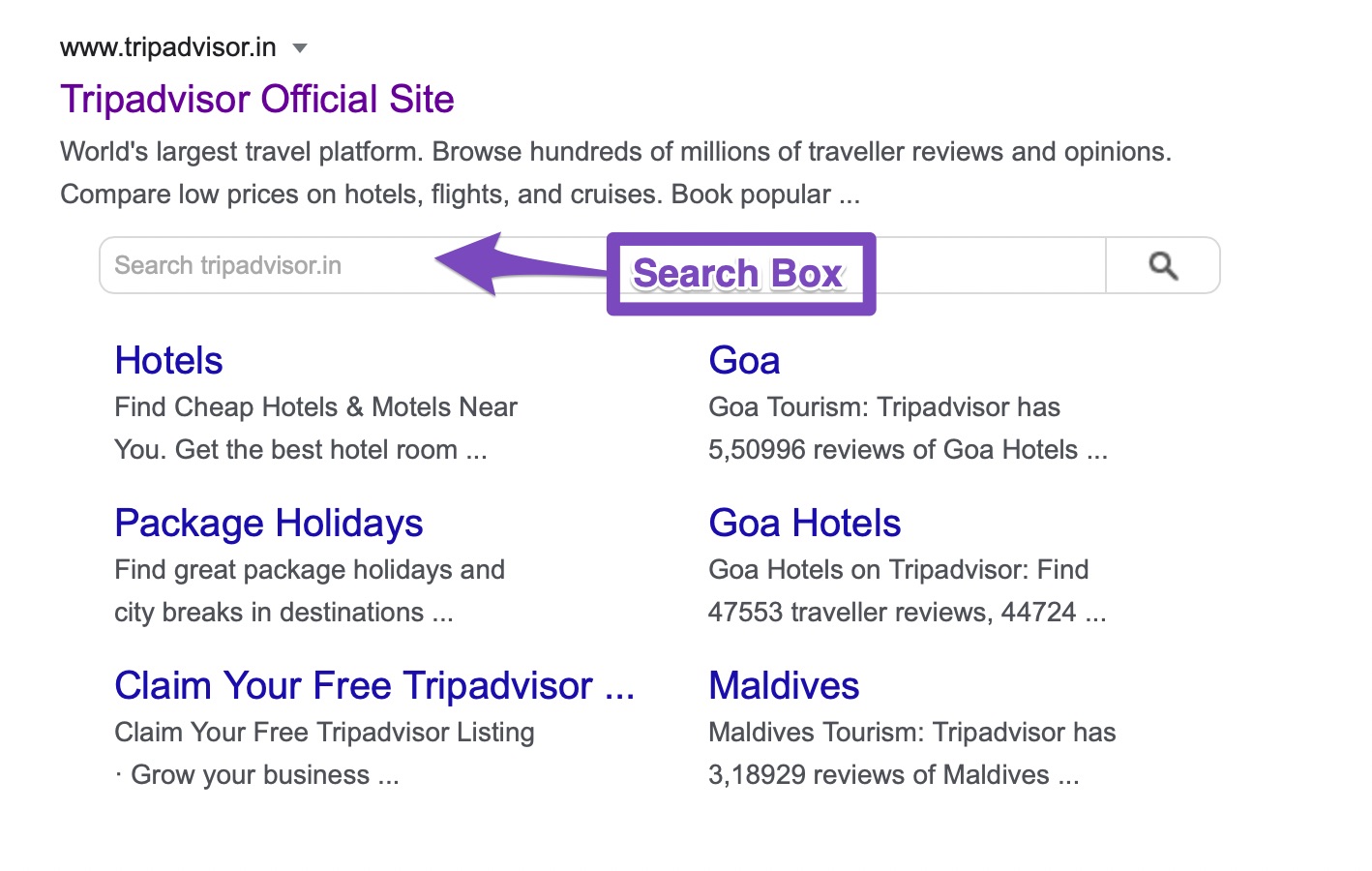 Search Box in Google Sitelinks