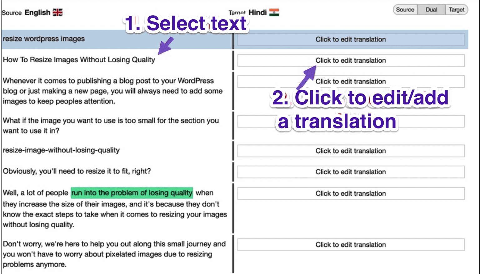 Translate Post Text Manually