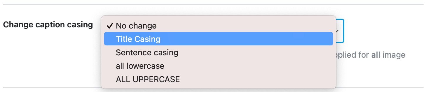 change caption casing