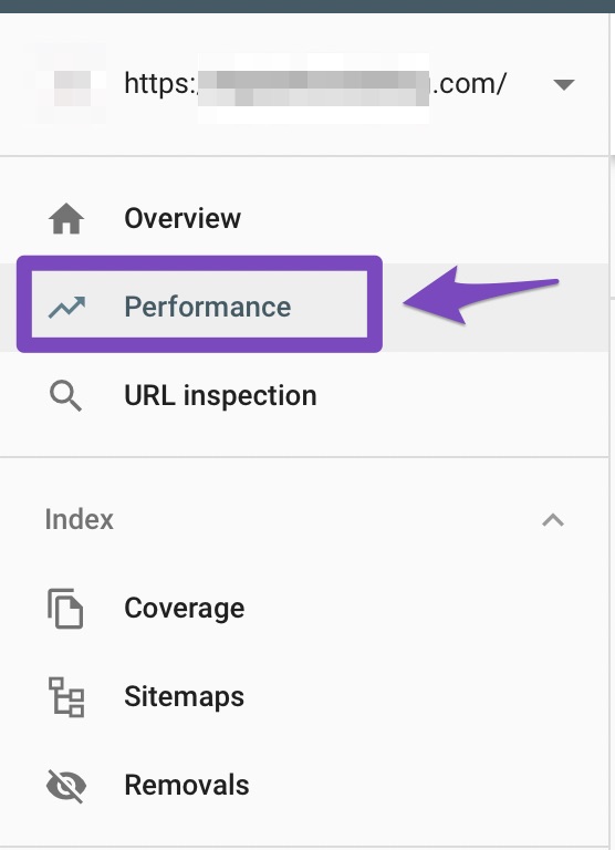 Click on Performance in Google Search Console