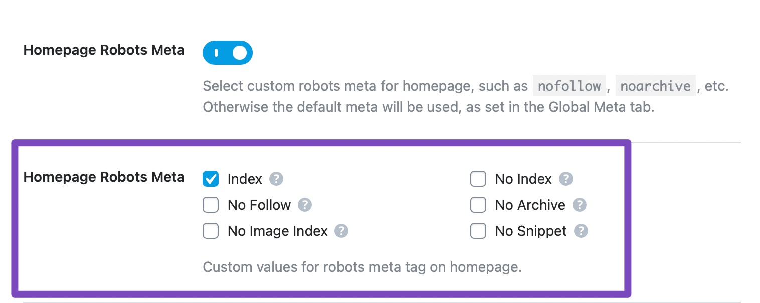 Homepage robots meta detailed options