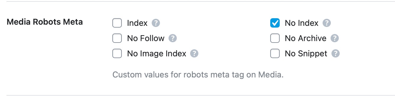 media robots meta custom settings