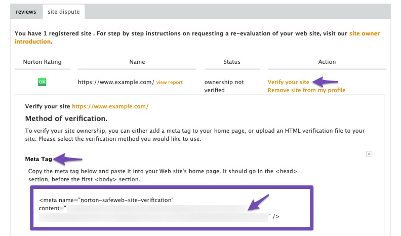 Copy Meta tag from Norton Safe Web verification