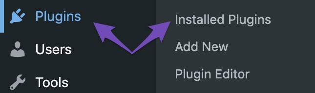 Installed plugin in WordPress