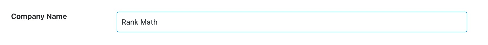 Rank Math Setup Wizard - Company Name option
