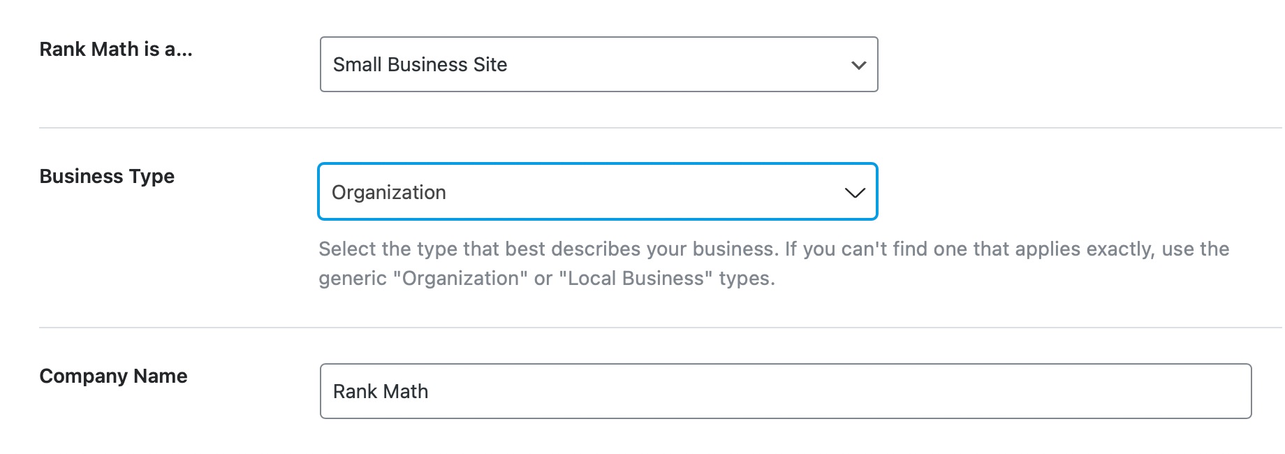 Rank Math Setup Wizard - business type options