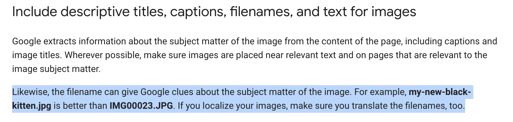 Google Title, Caption, File Name and Alt Text Guidelines for Images