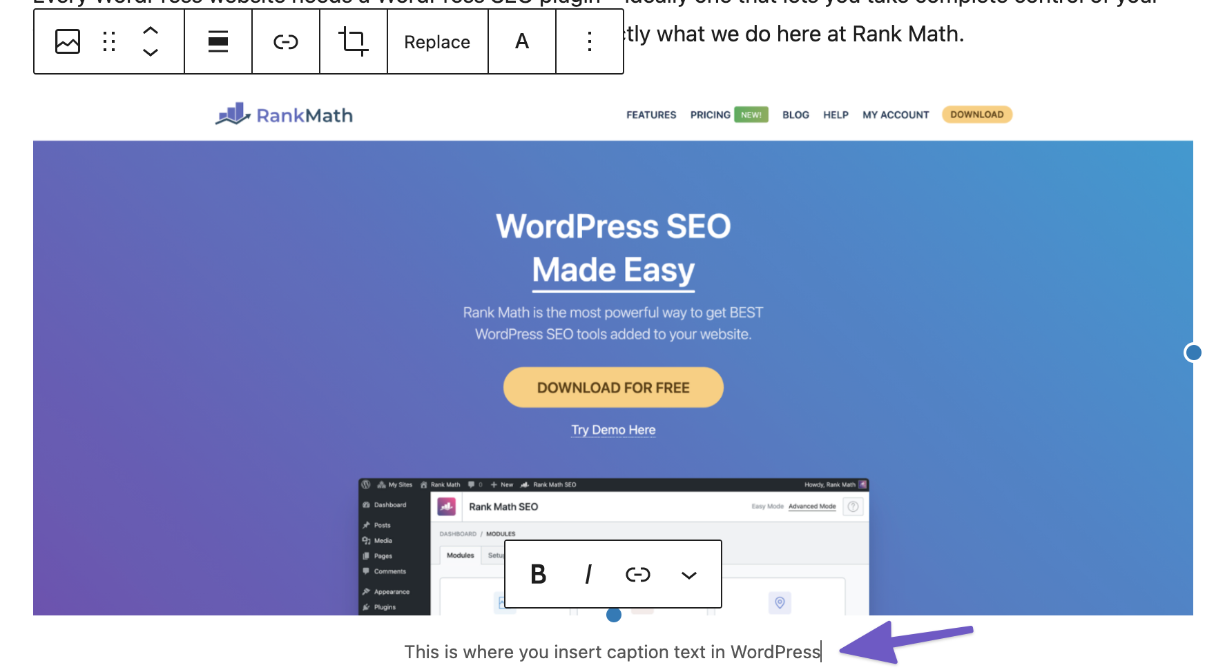 Como adicionar legendas de imagens no WordPress