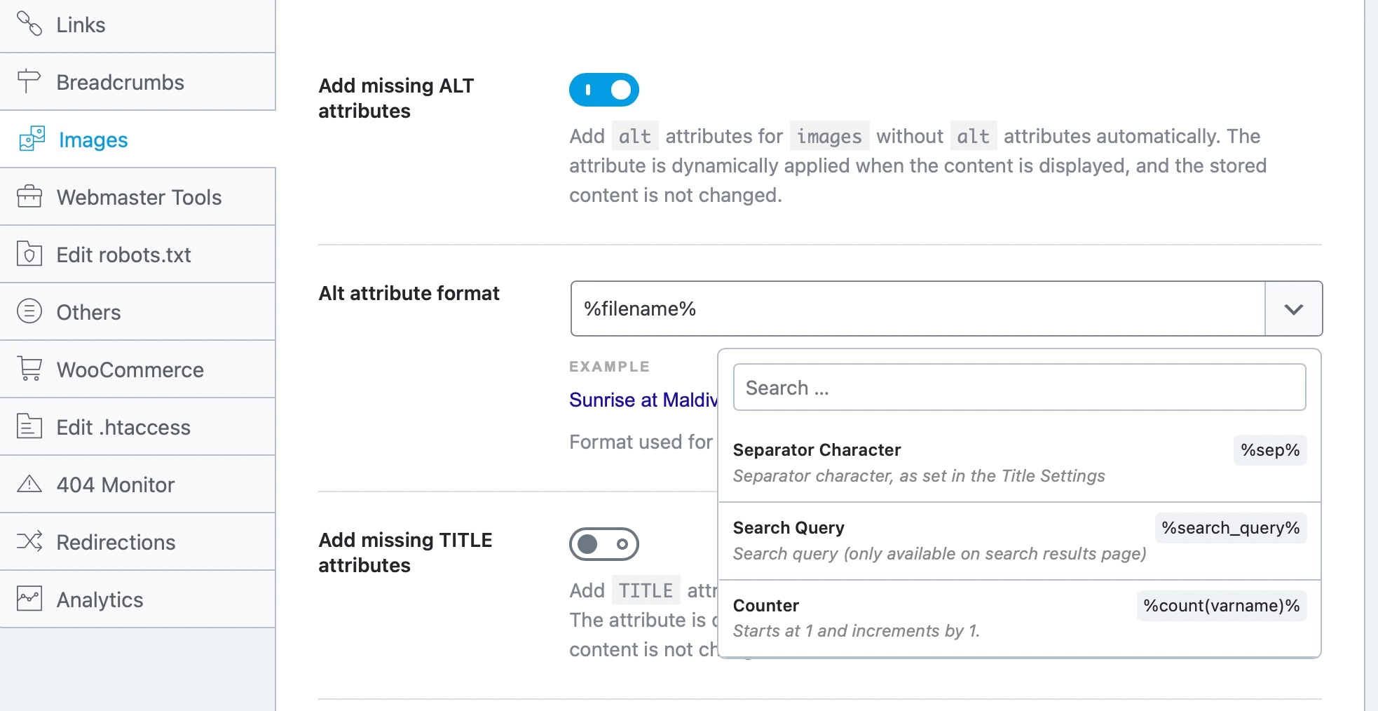 Add Missing Alt Attributes