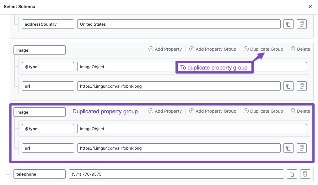 Duplicate property group