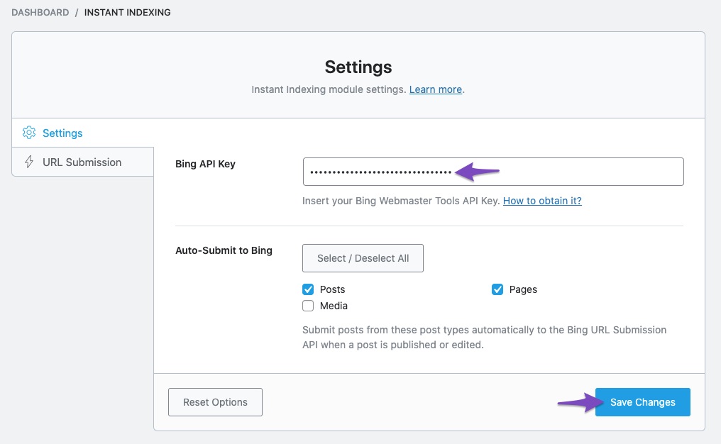 Add Bing API key in Bing Instant Indexing Settings