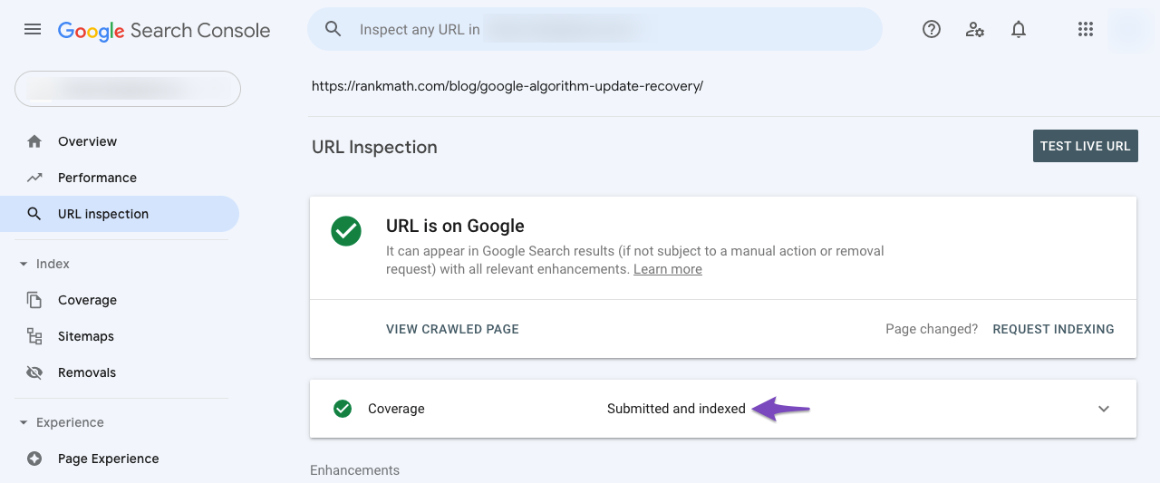 URL submitted and indexed in Google Search Console