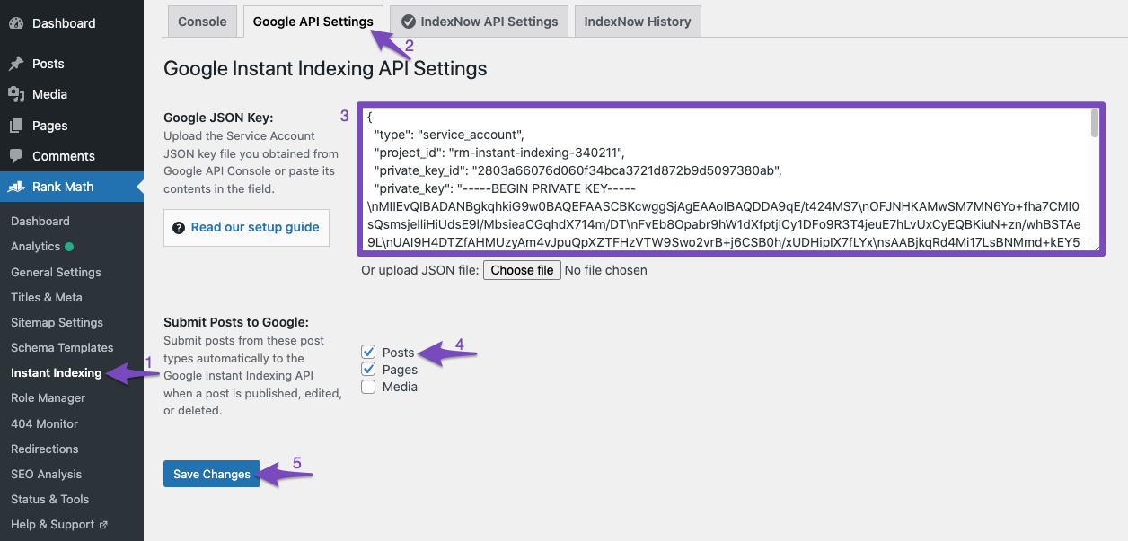 Instant Indexing plugin configuration