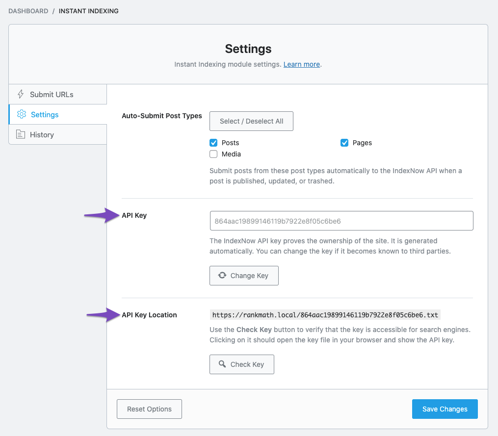 Managing API Key with Instant Indexing settings