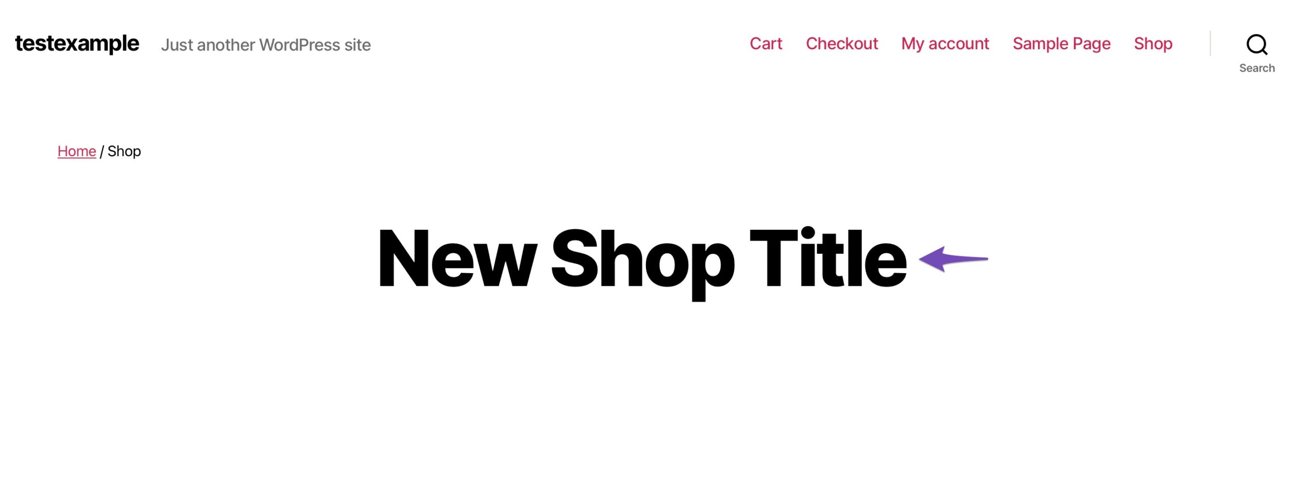Shop Page Title Changed Using Code