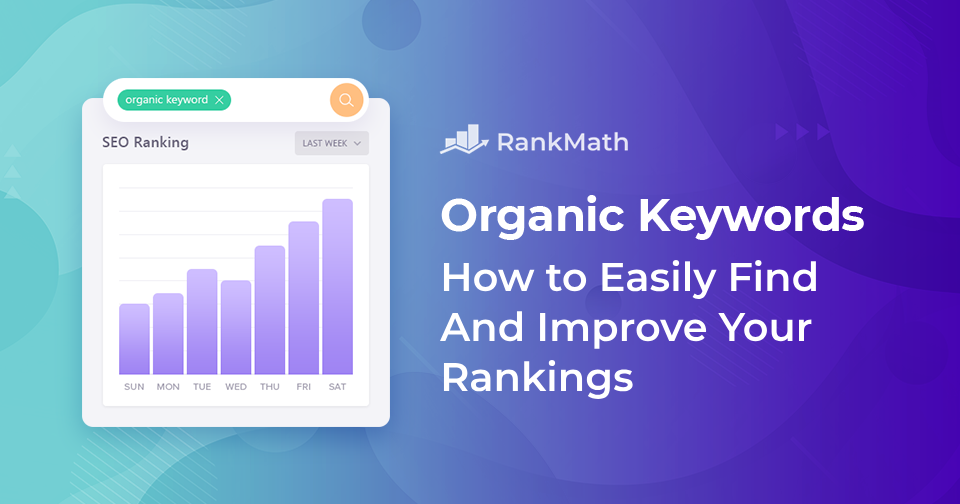 Organische Keywords – Wie können Sie Ihre Rankings im Jahr 2024 ganz einfach finden und verbessern?