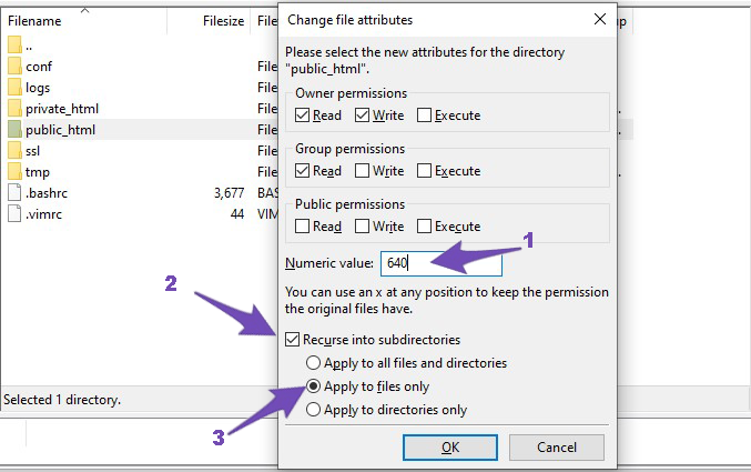 Change file permission