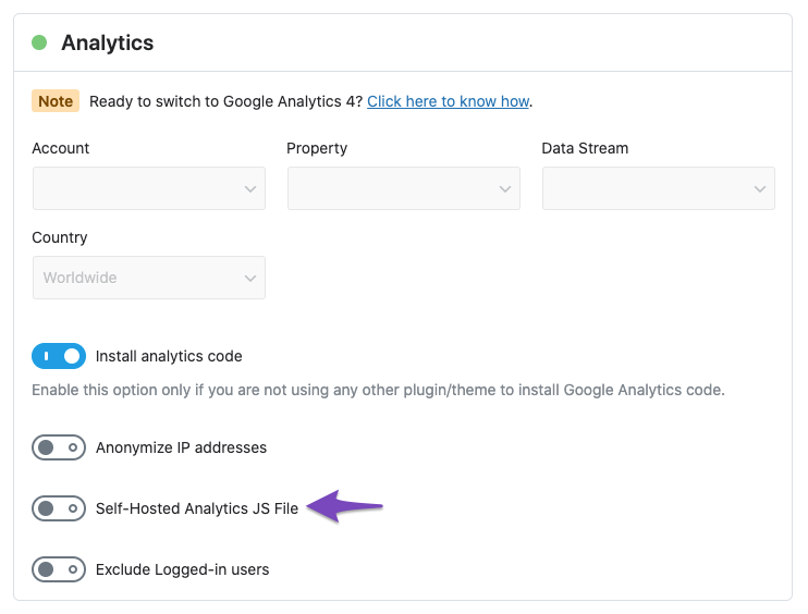 Self-Hosted Analytics JS File