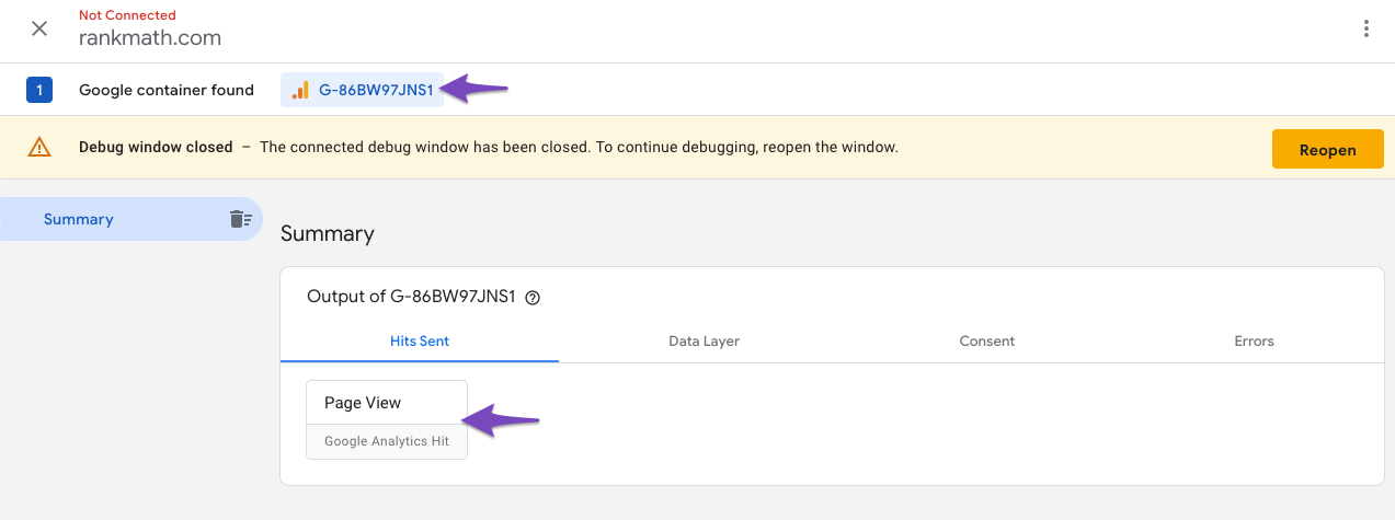 Tag Assistant debug information