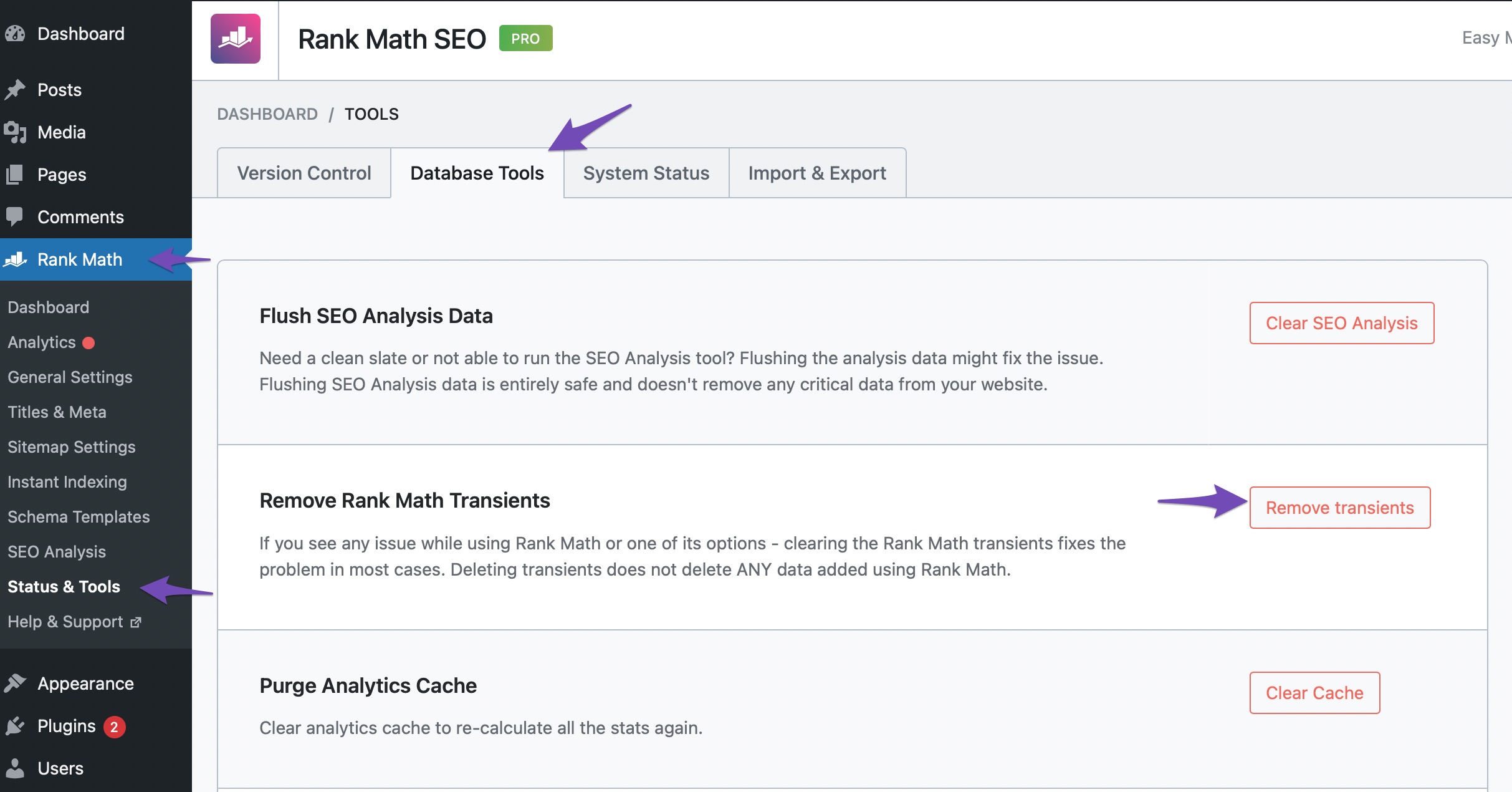 remove Rank Math transients