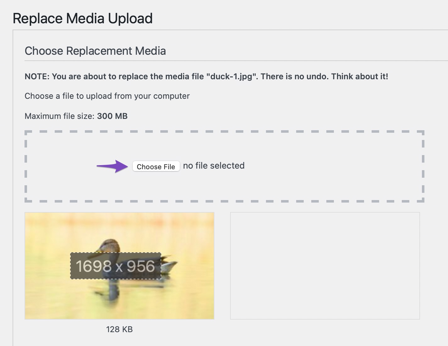 How to Quickly Fix Image Upload Issues in WordPress » Rank Math