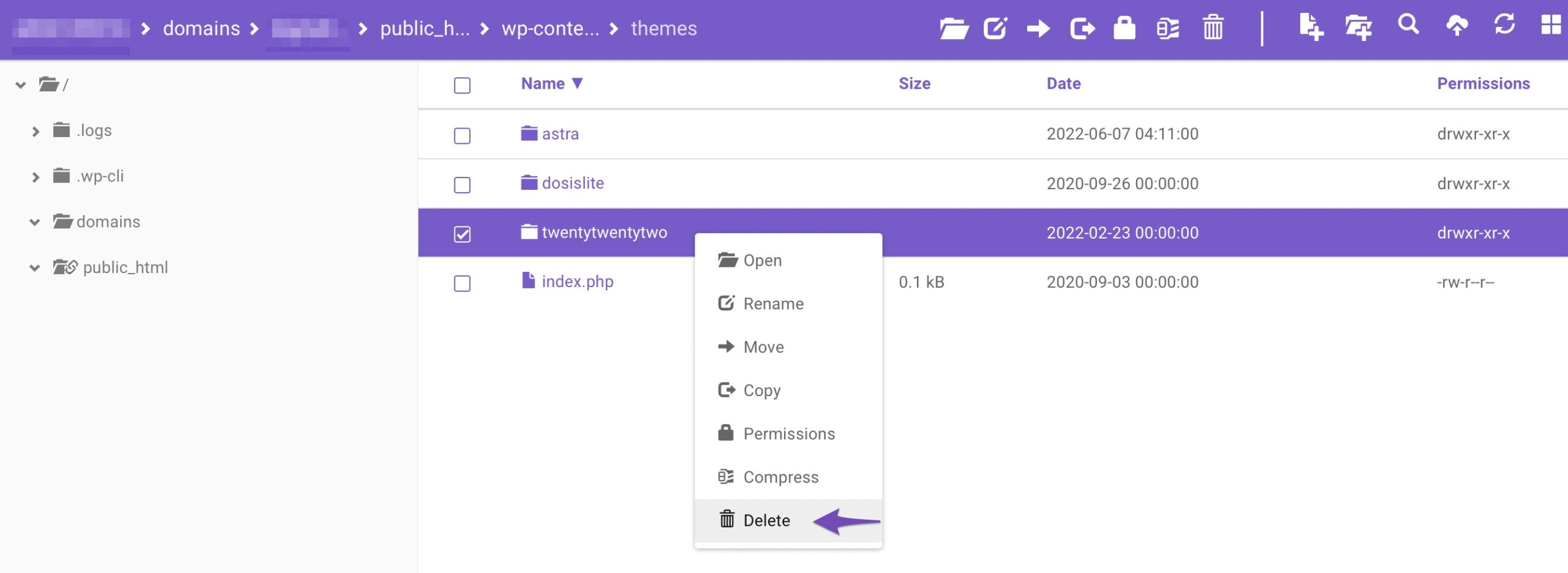 Delete theme using File Manager