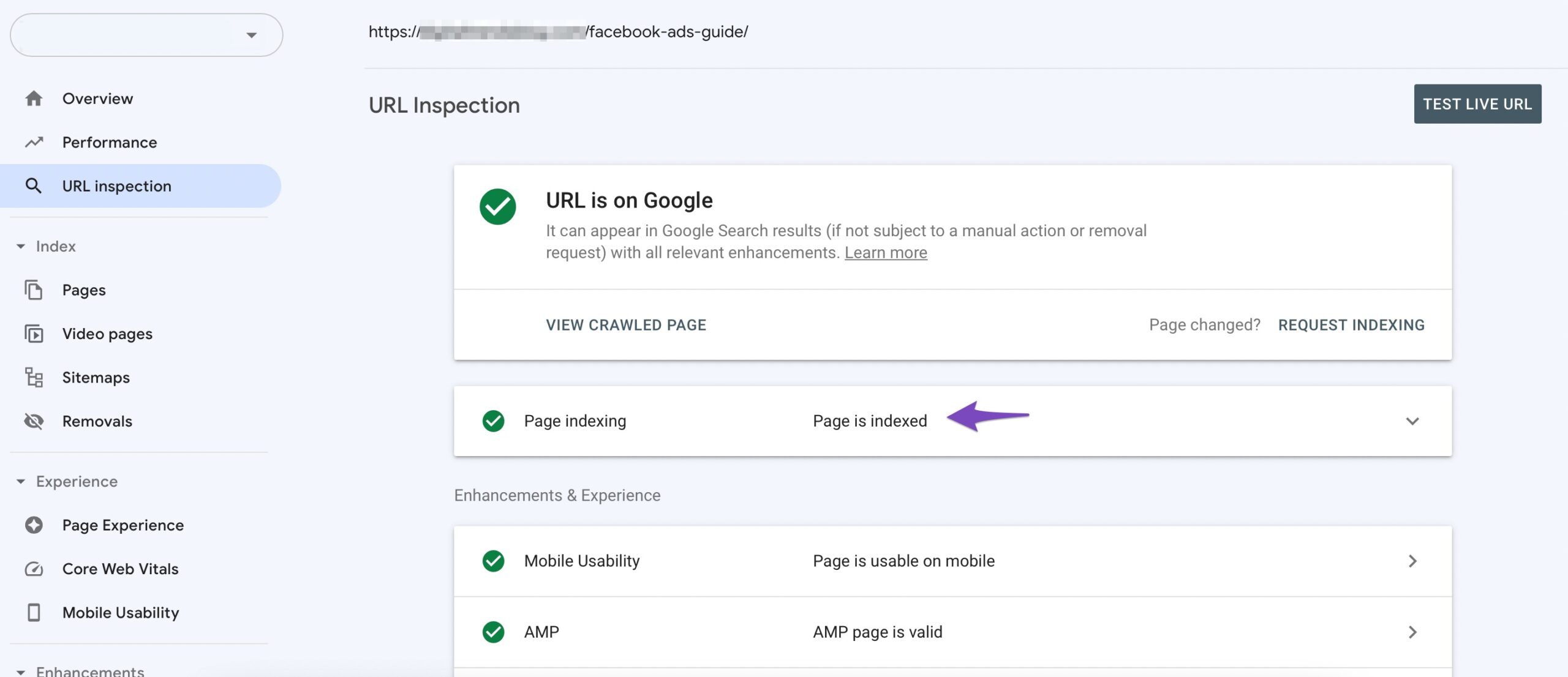 URL submitted and indexed in Google Search Console