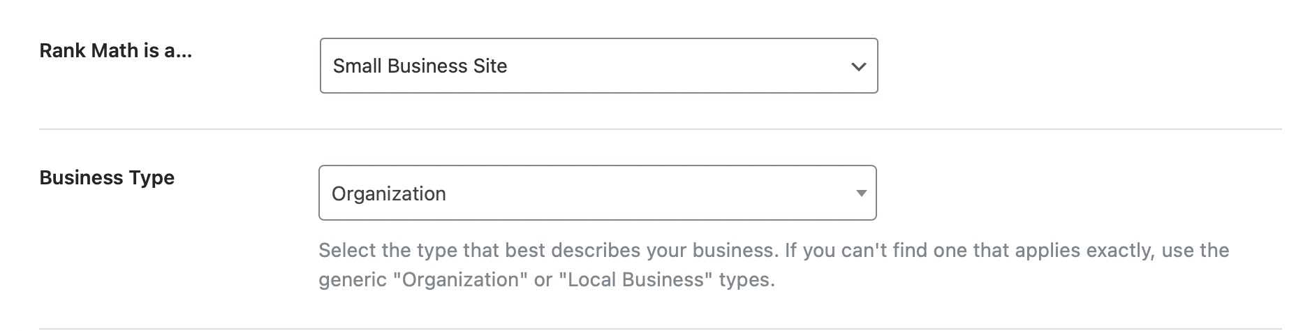 Rank Math Setup Wizard - business type options