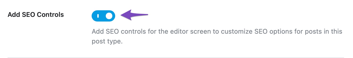 Enable Add SEO Controls option