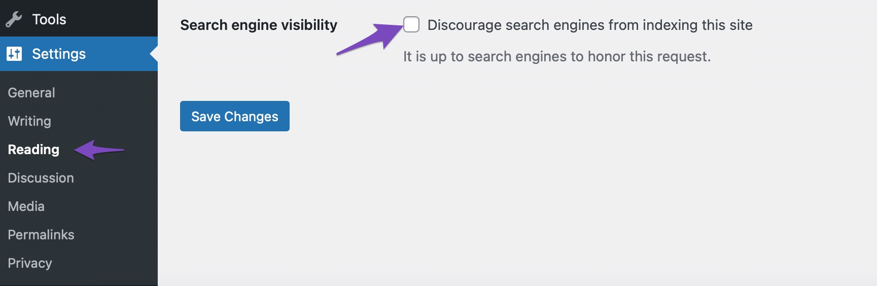 Search engine visibility test from settings