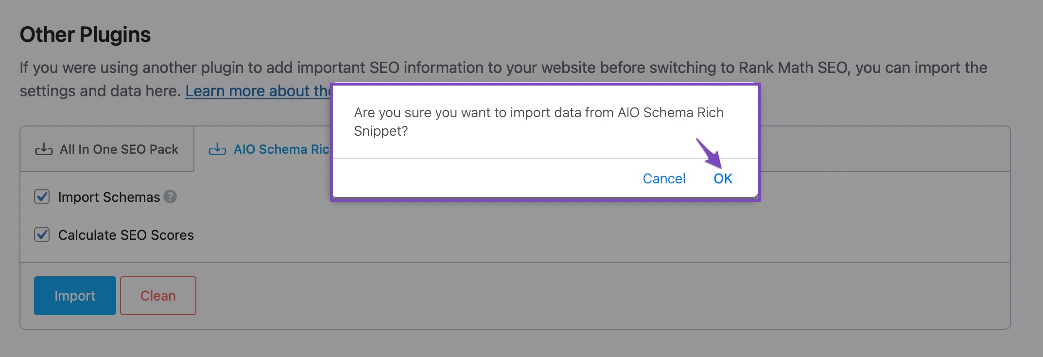 All In One Schema Rich Snippets confirmation prompt