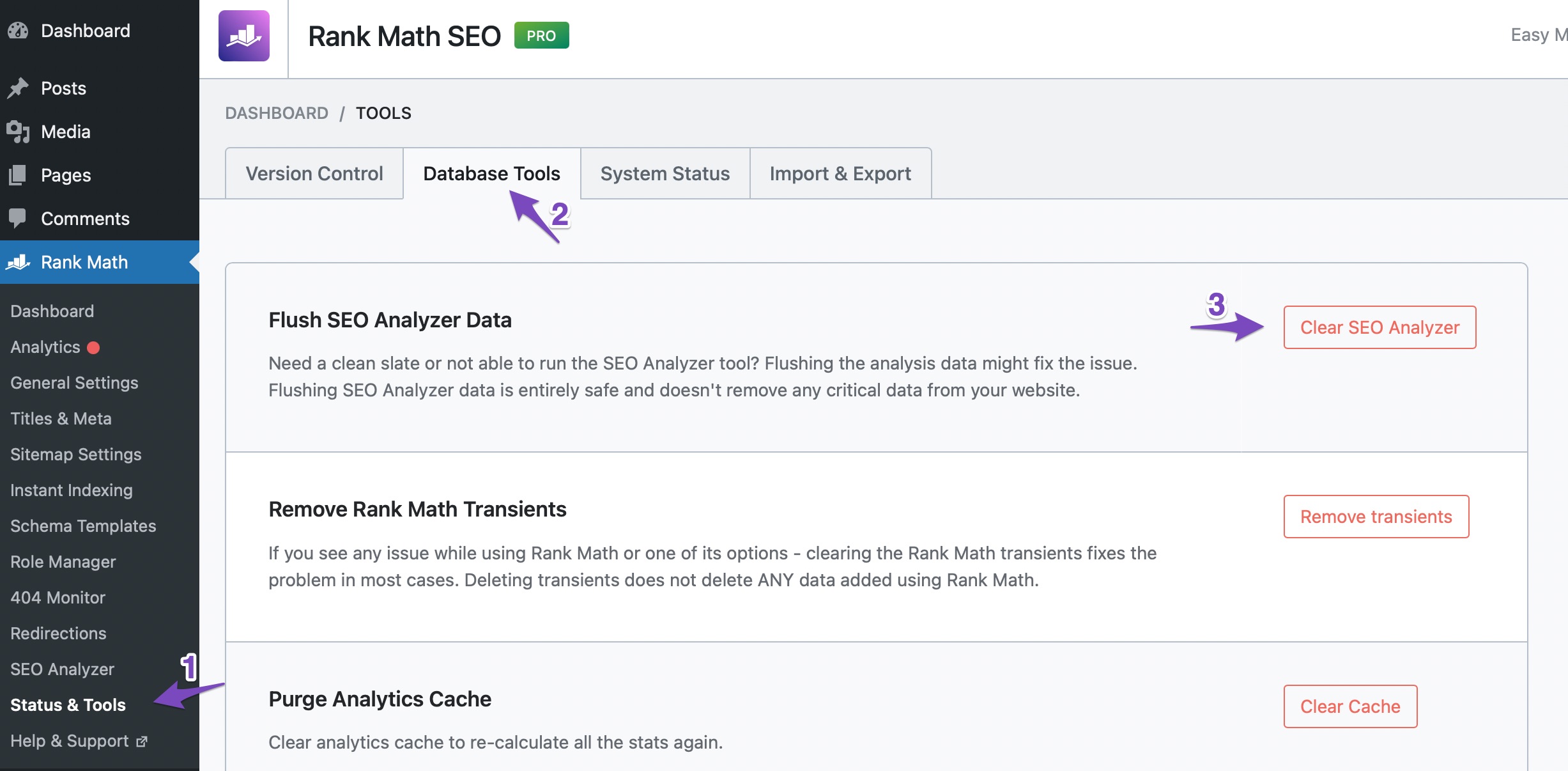 Flush SEO Analysis data