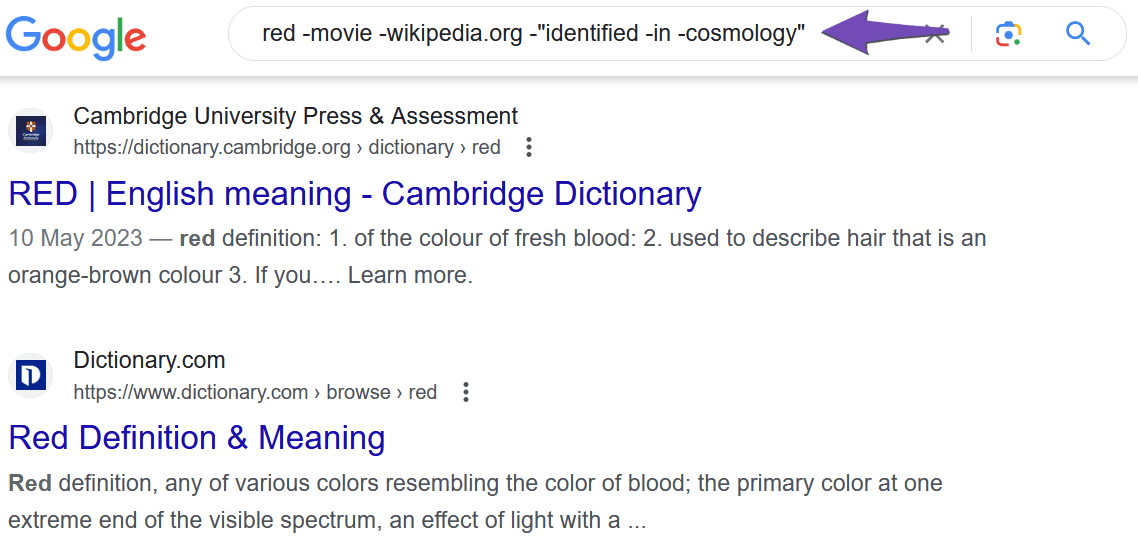 Example of Google Search with Excluded results