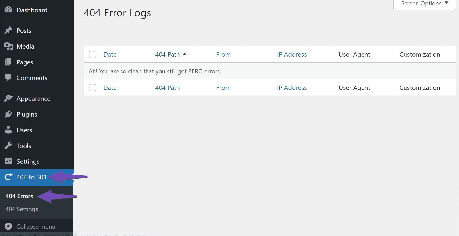 Sample of the 404 Error Logs