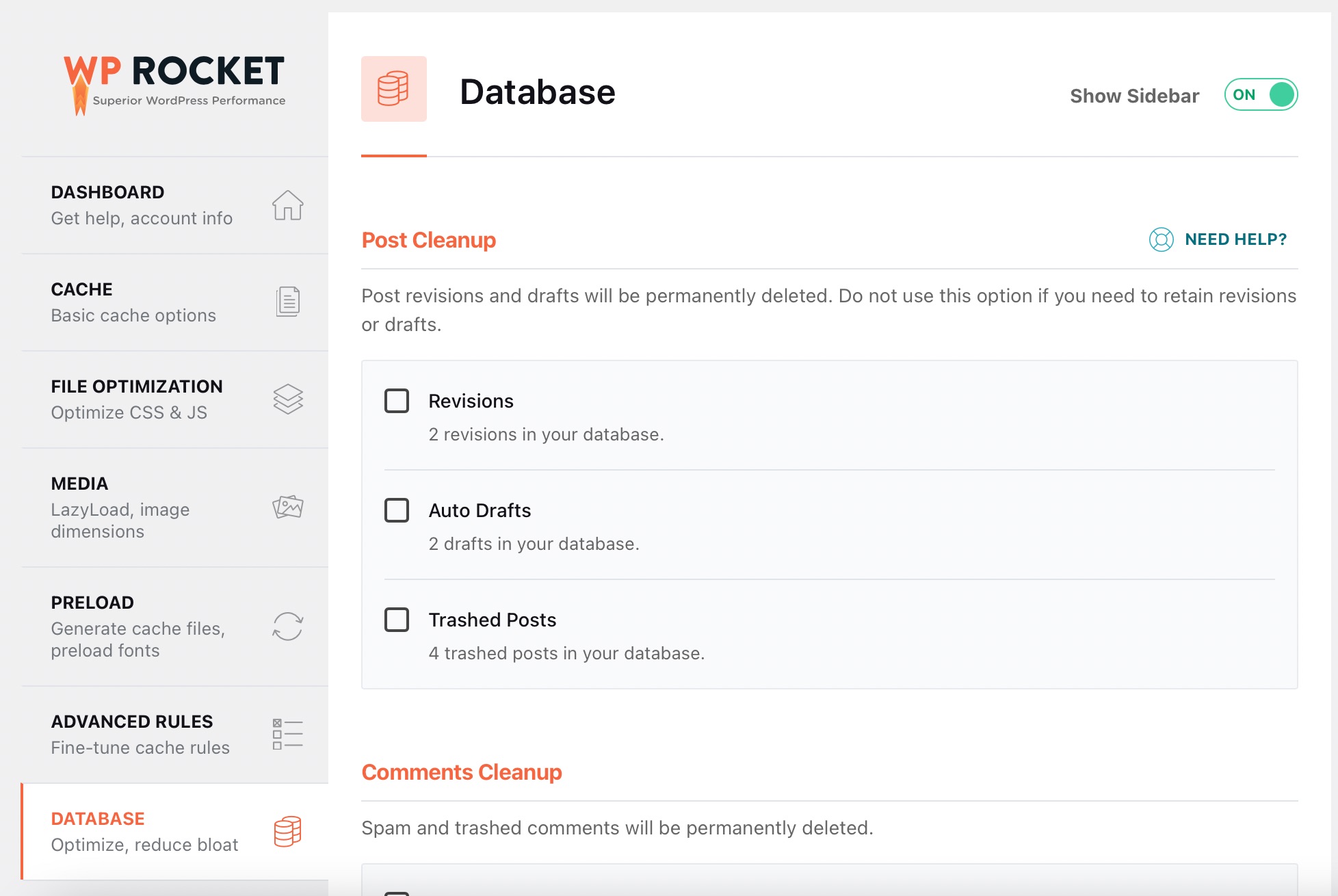 WP Rocket Datase options