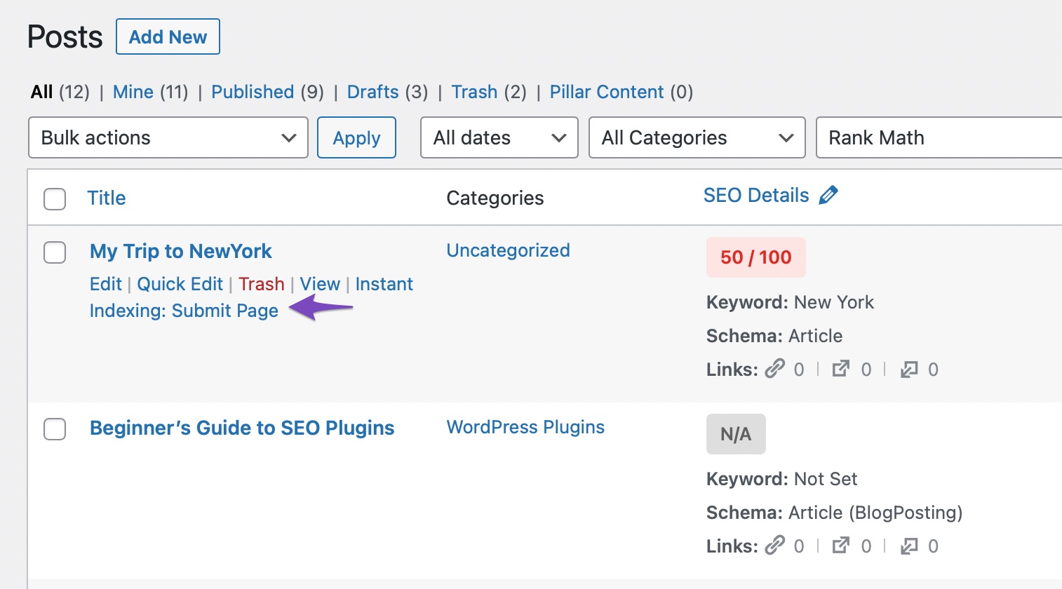 Instant Indexing Submit Page