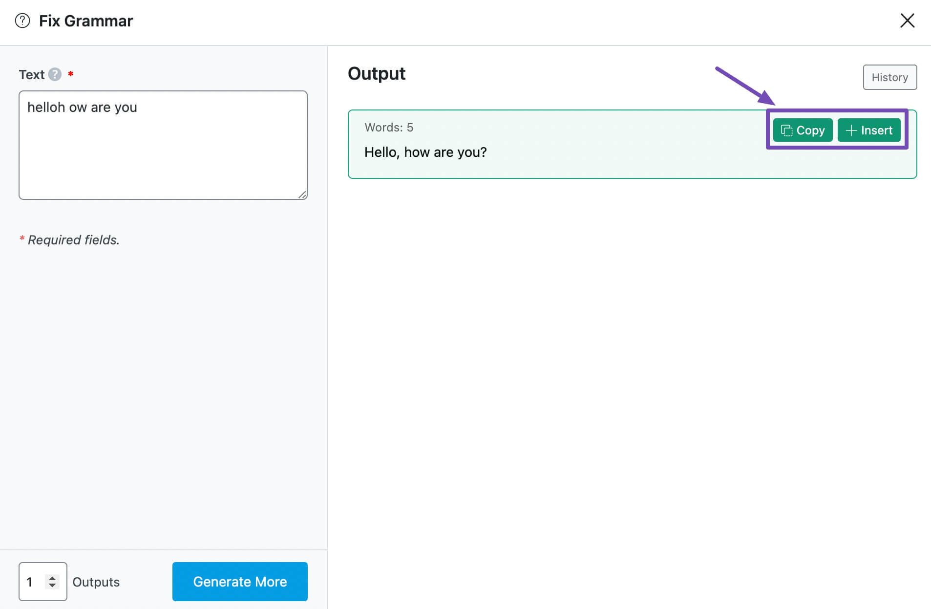 Copy/Insert Option in the Fix Grammar AI Tool