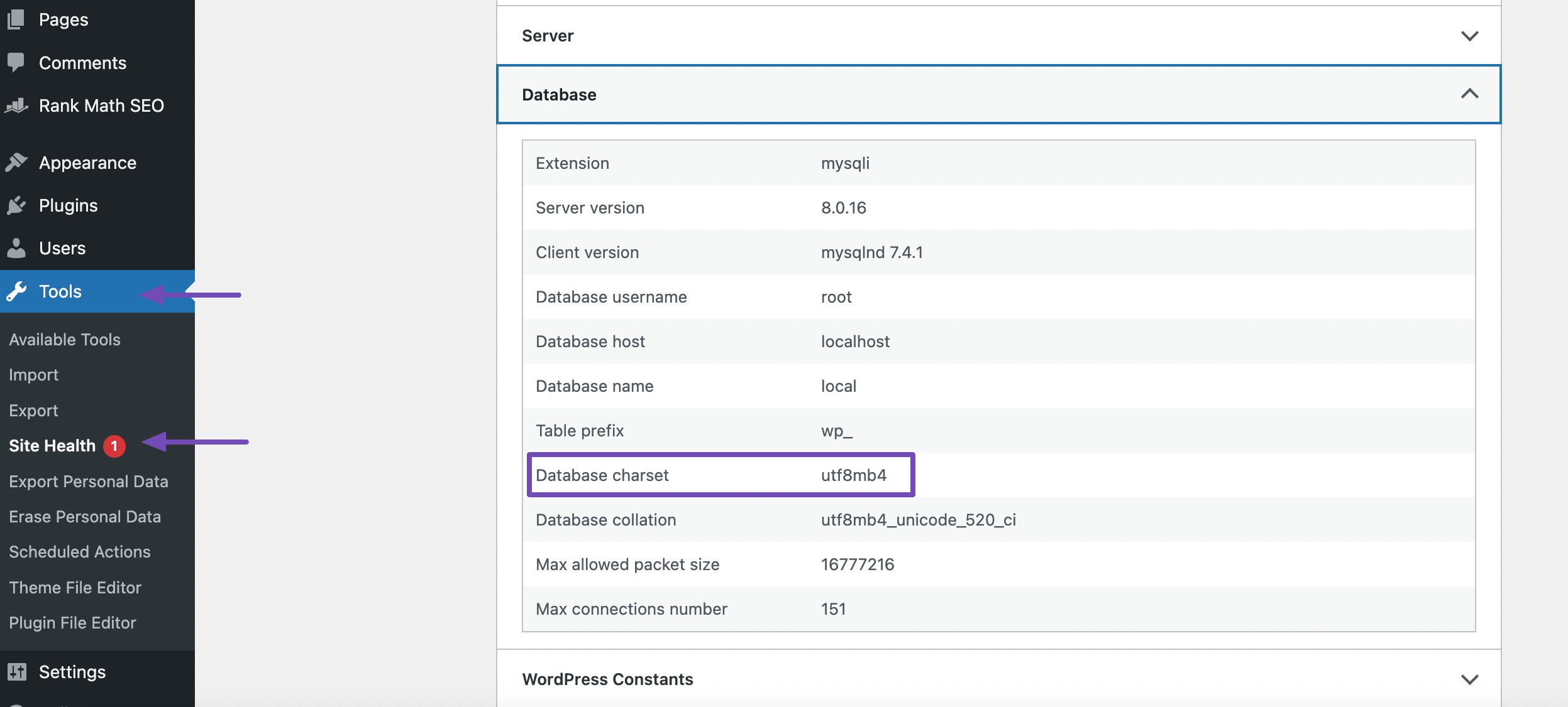 Database charset