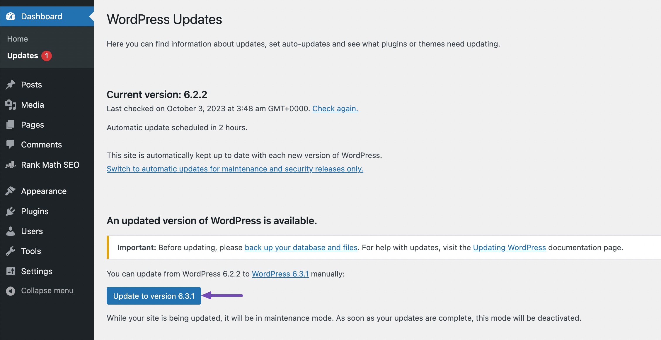 update WordPress version