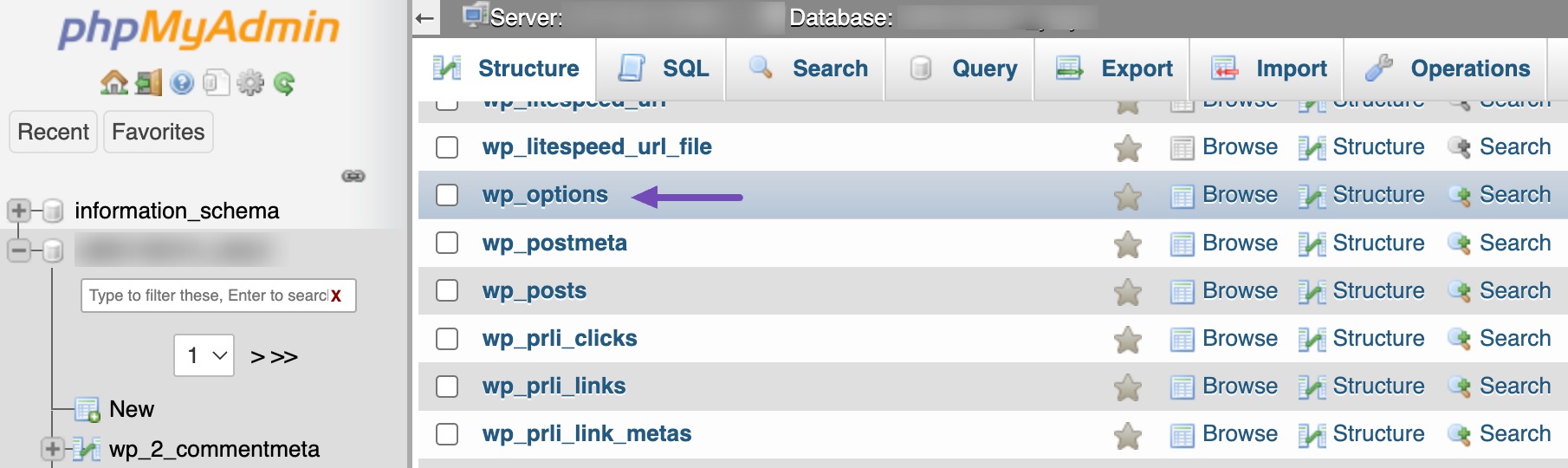 locate the wp_options table