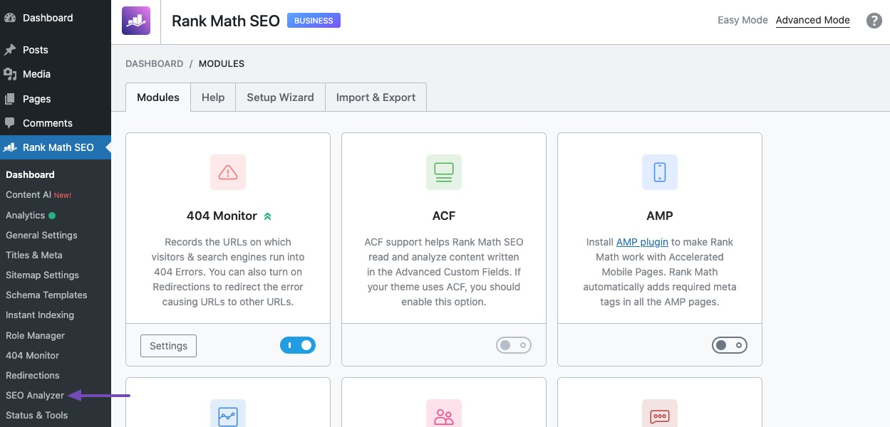 Seo analyzer store