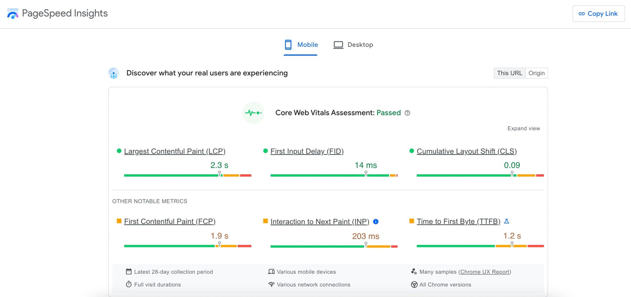 PageSpeed Insights