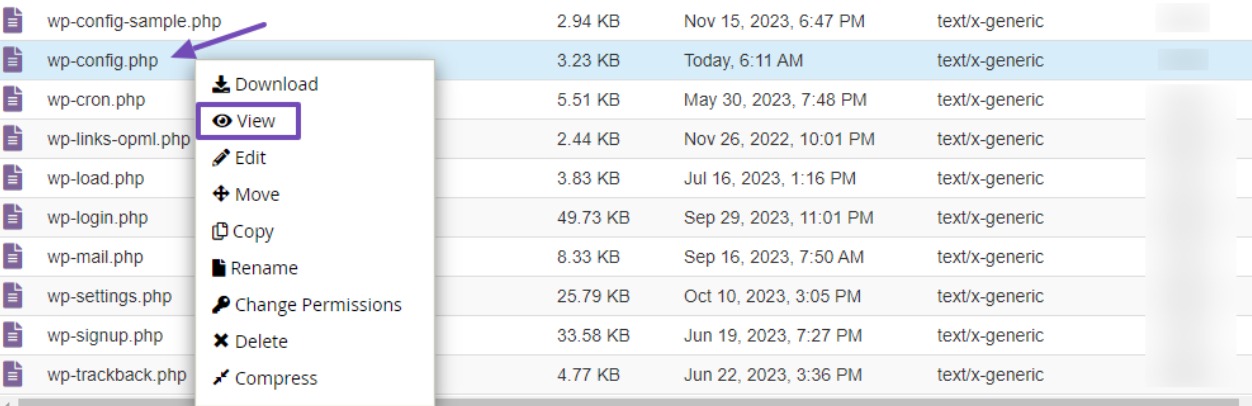View wp-config.php file