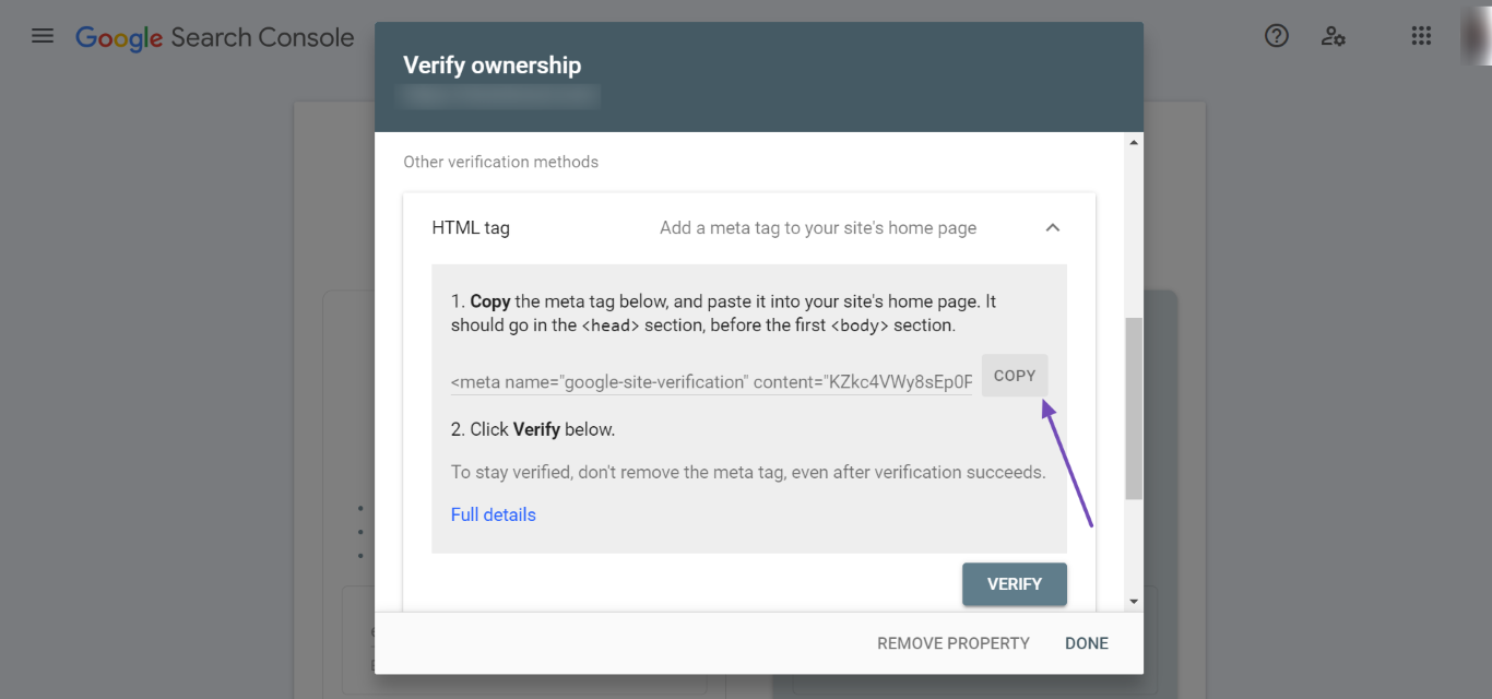 Copy HTML meta tag for site verification
